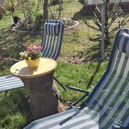 Ferienwohnung Rosengarten バレンシュテット エクステリア 写真