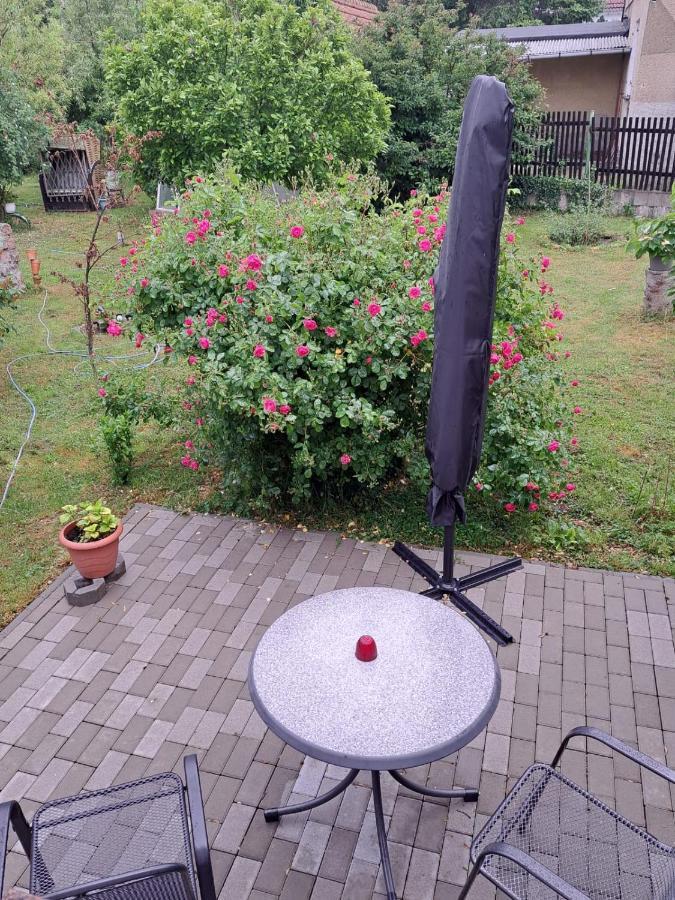 Ferienwohnung Rosengarten バレンシュテット エクステリア 写真