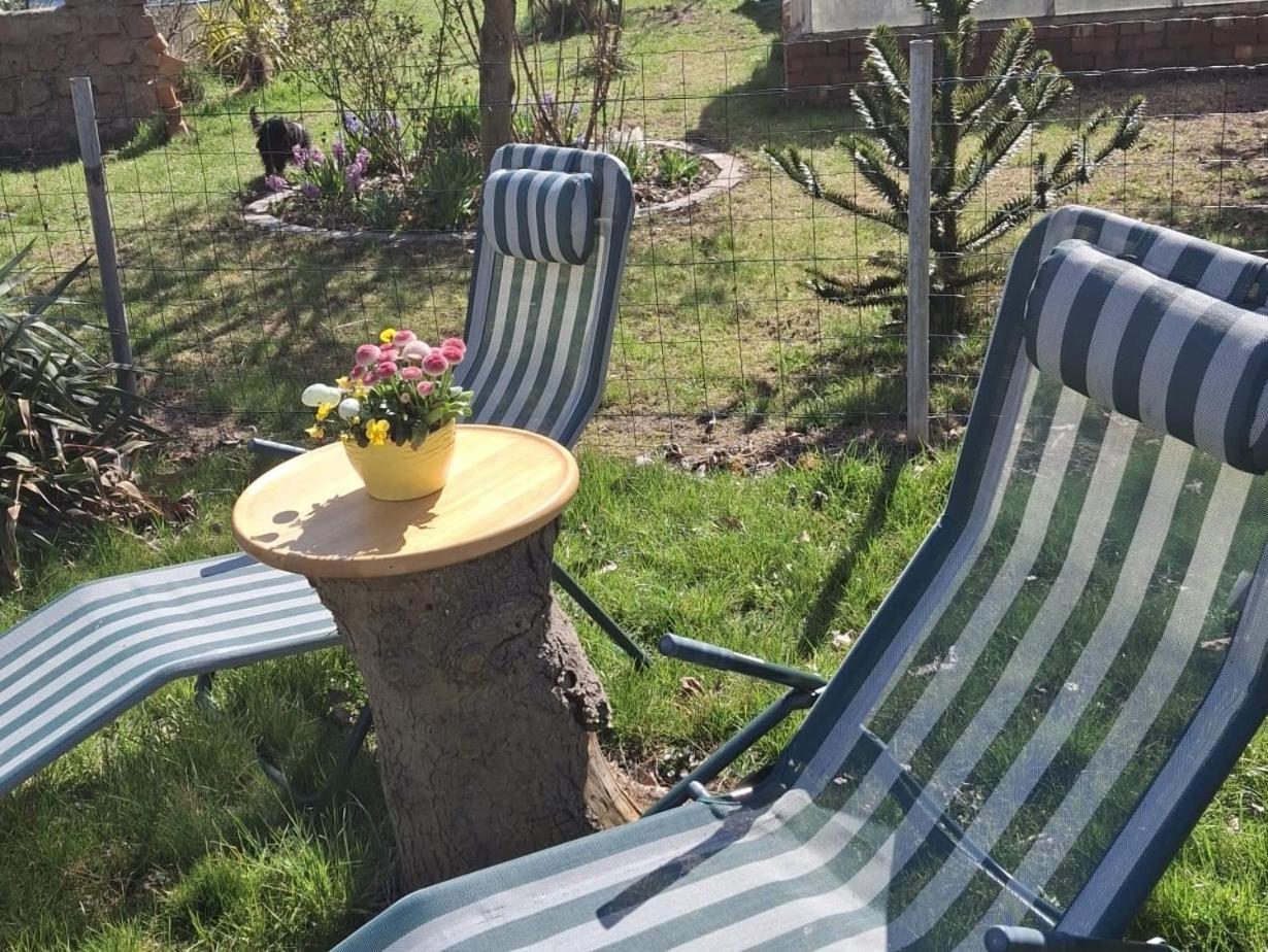 Ferienwohnung Rosengarten バレンシュテット エクステリア 写真